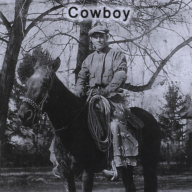 Релиз Cowboy