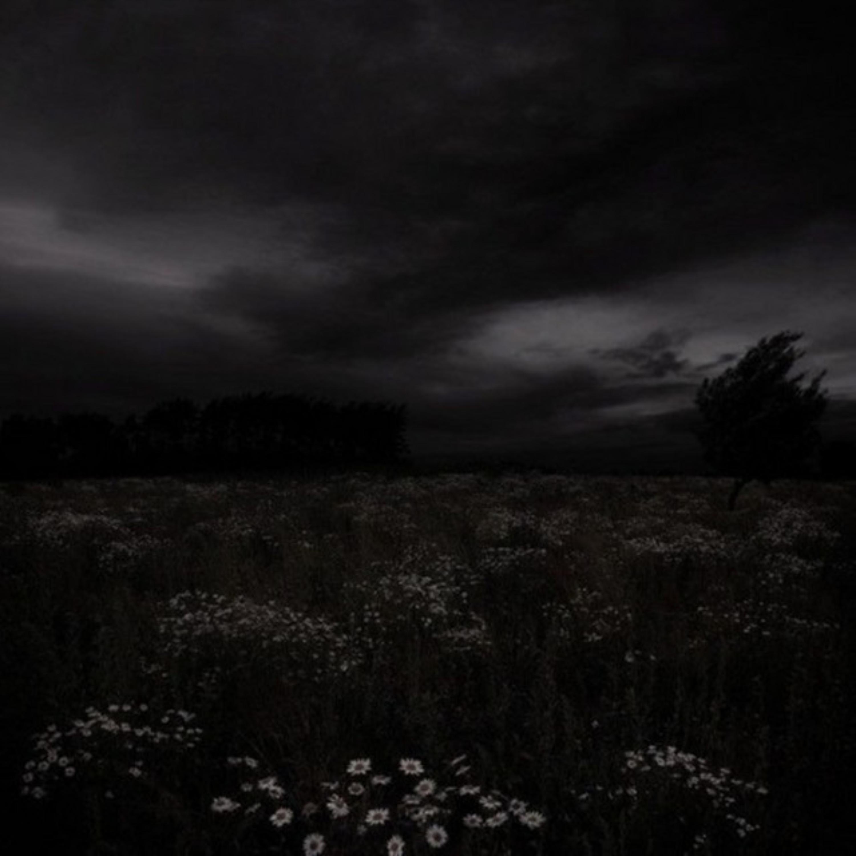Релиз Scheming