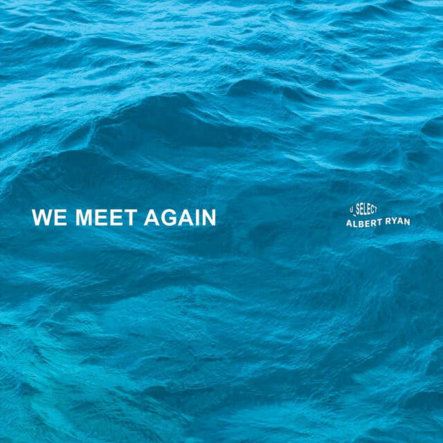 Релиз We Meet Again