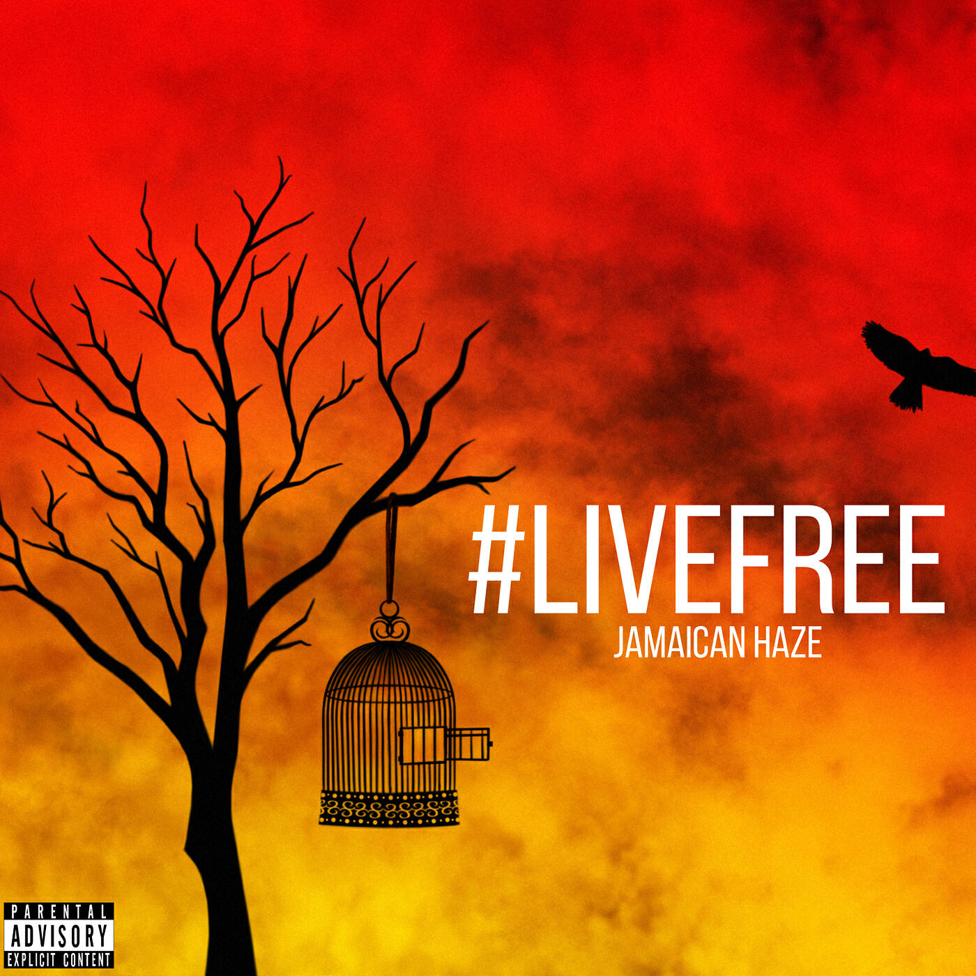 Релиз #LiveFree