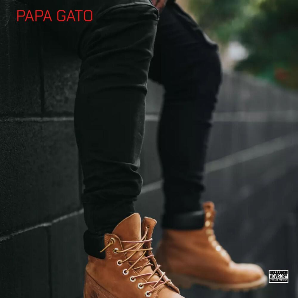 Релиз Papa gato