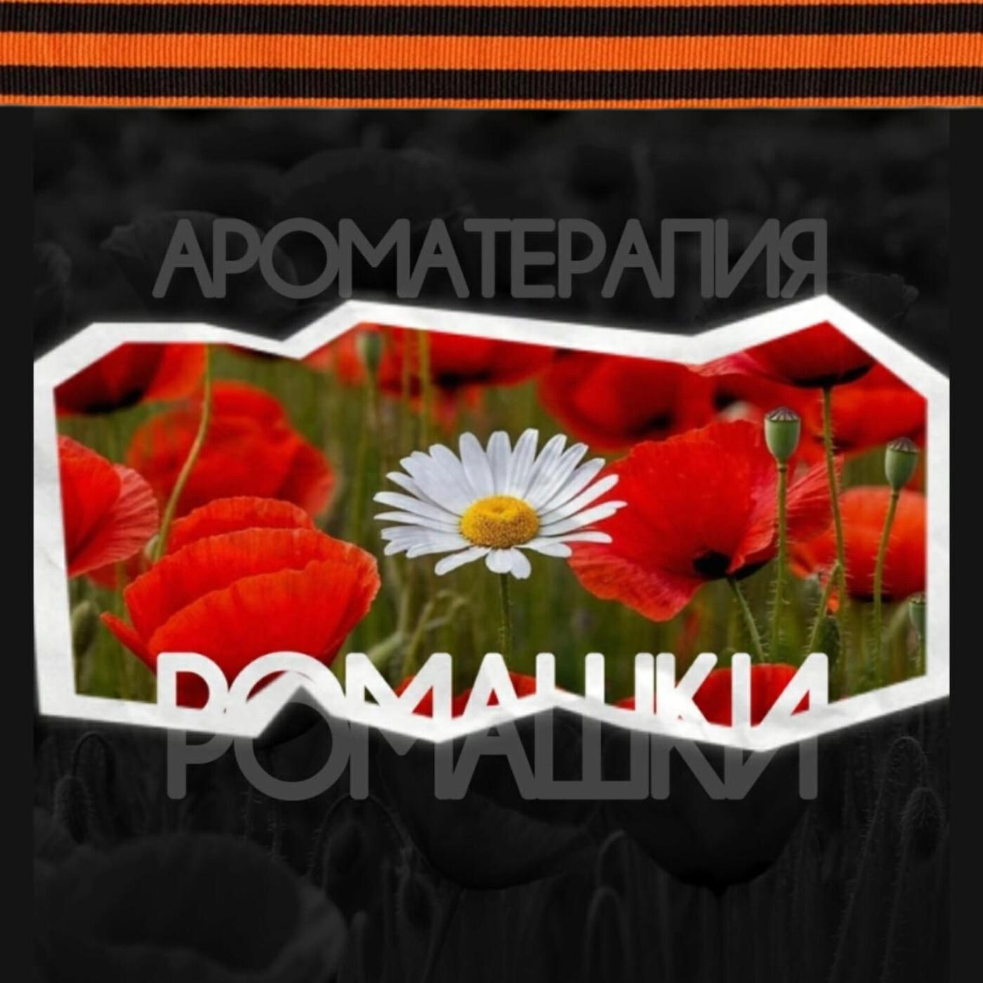 Релиз Ромашки