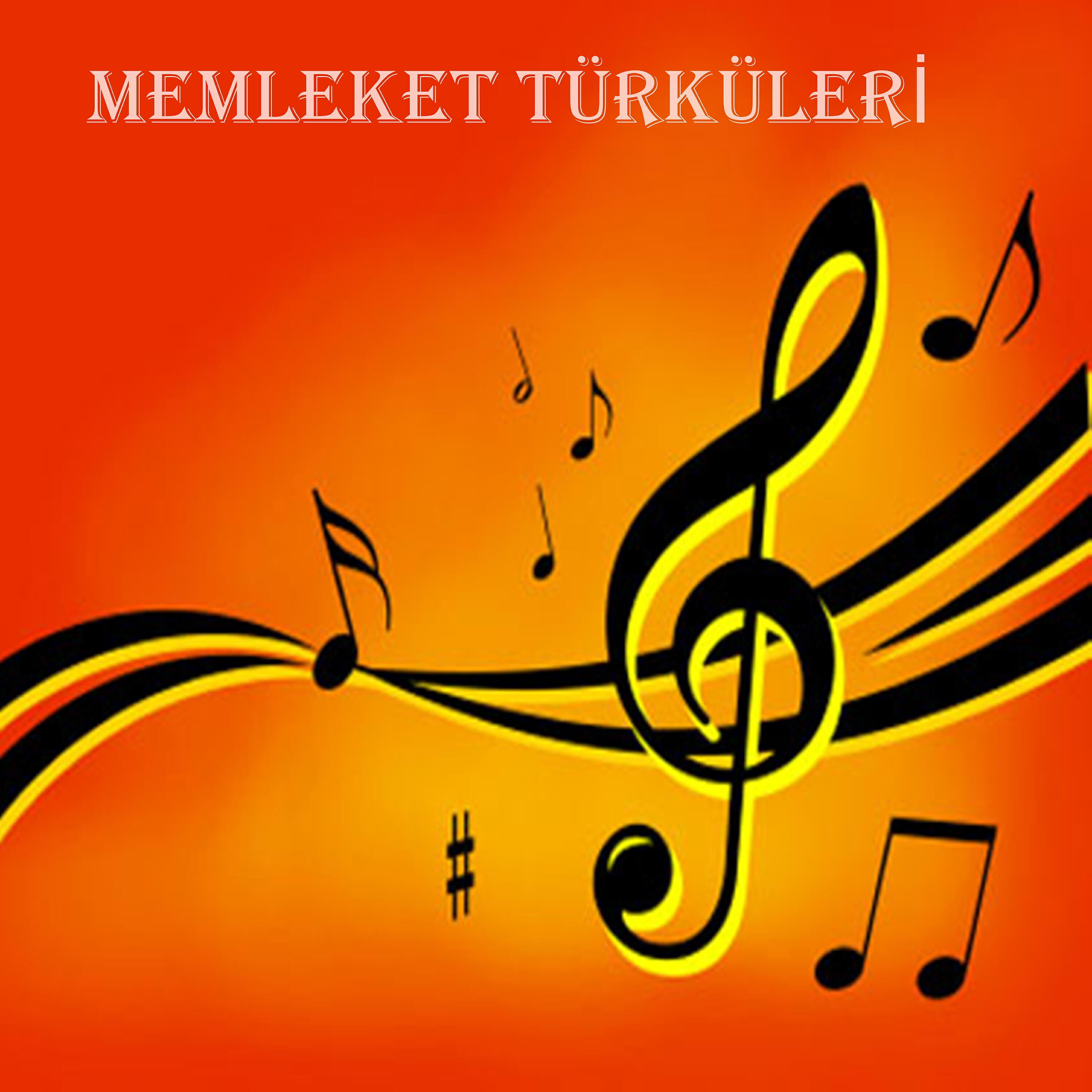 Релиз Memleket Türküleri