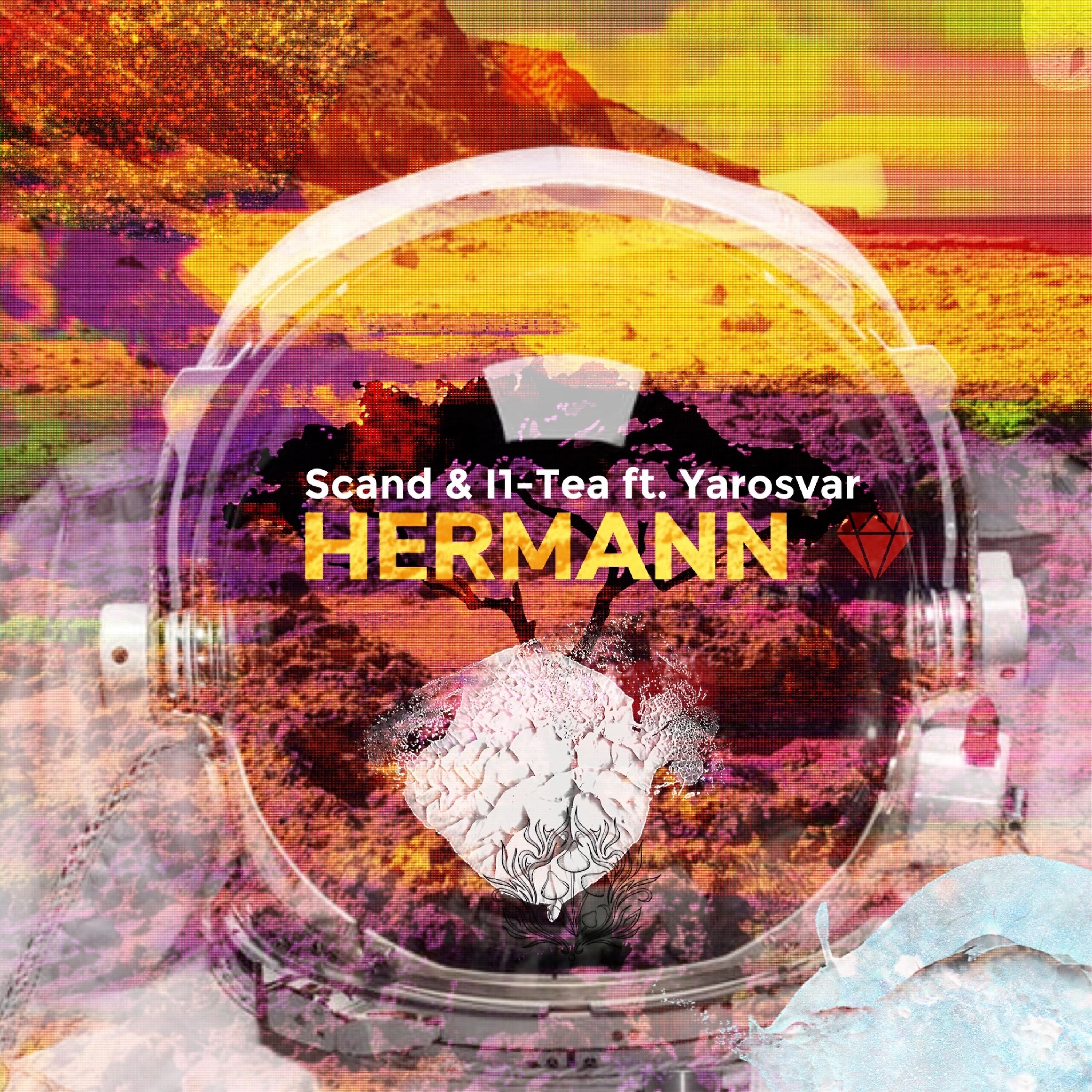 Релиз Hermann