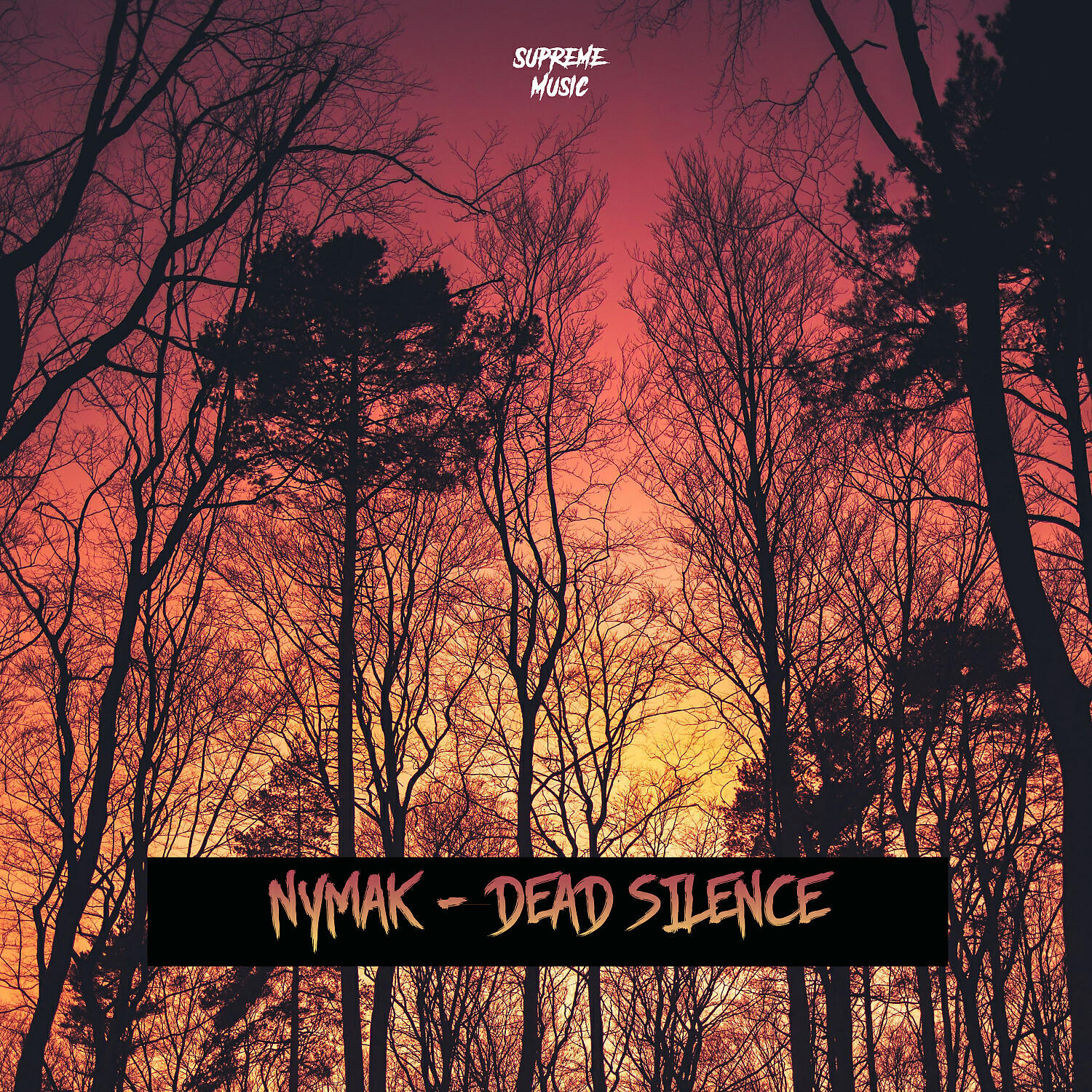 Релиз Dead Silence