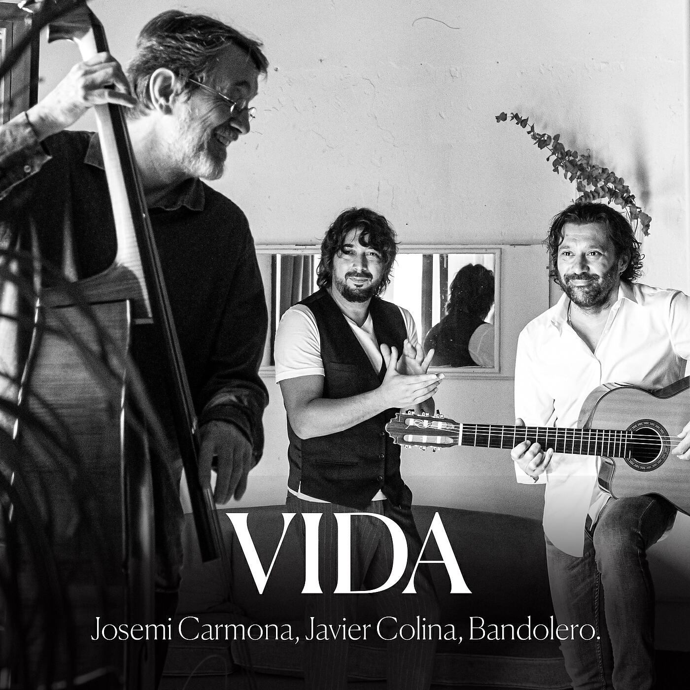 Релиз Vida