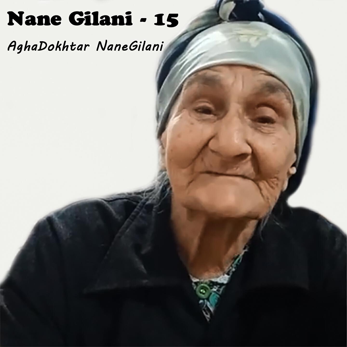 Релиз Nane Gilani - 15