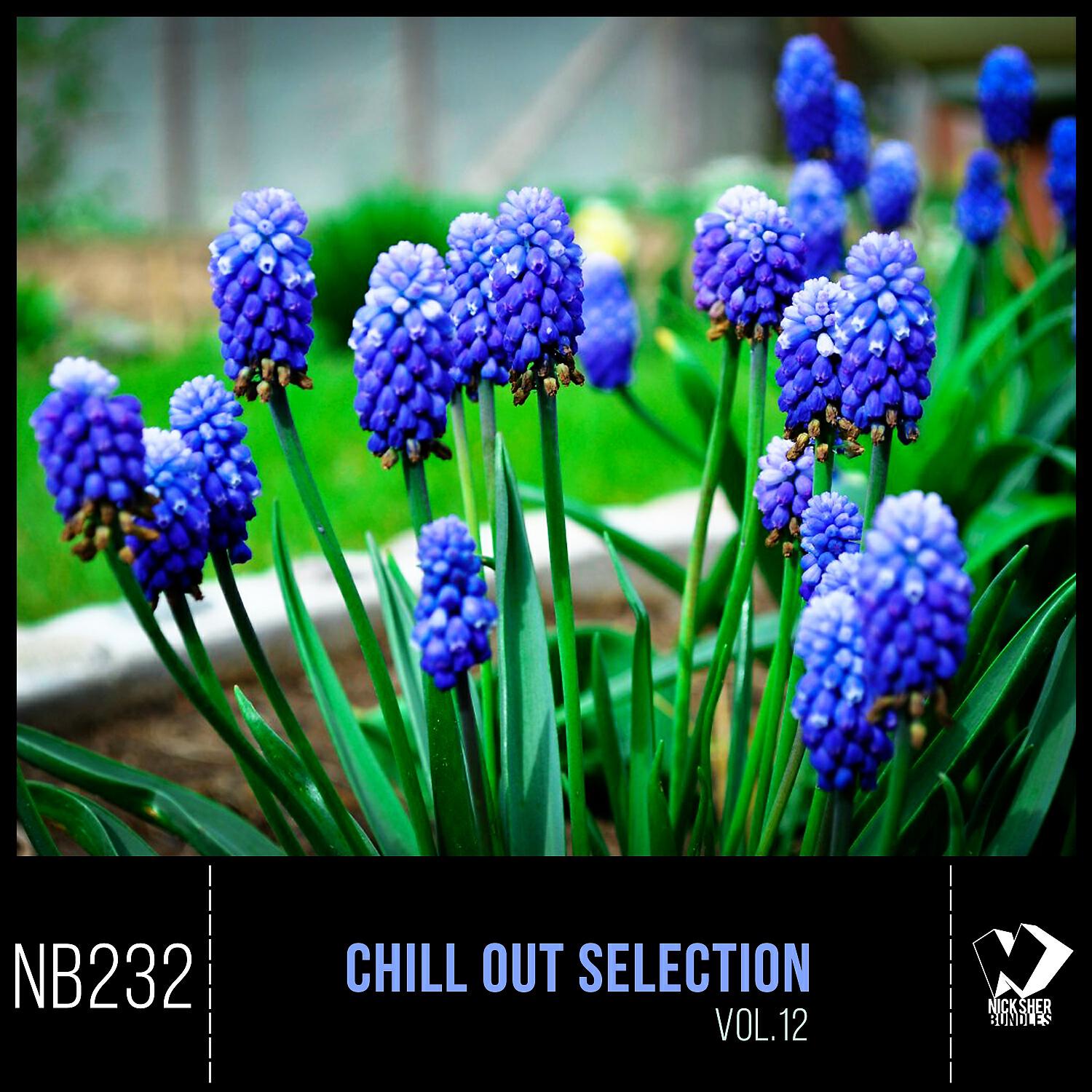 Релиз Chill out Selection, Vol. 12