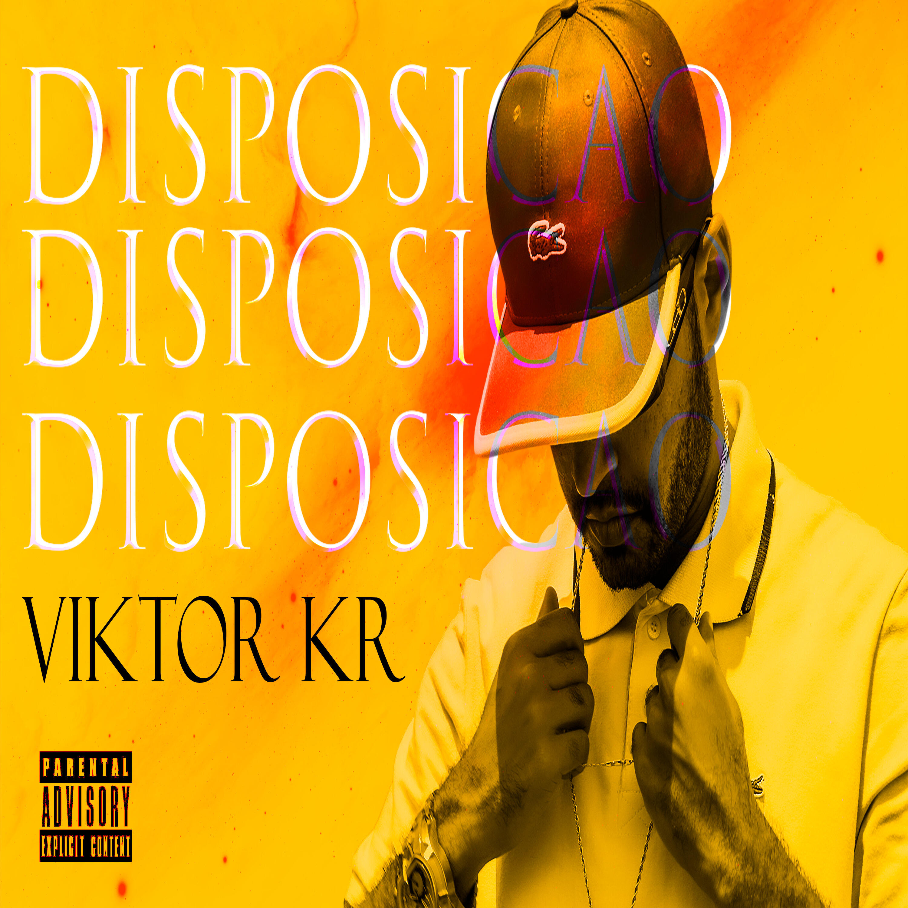 Релиз Disposição