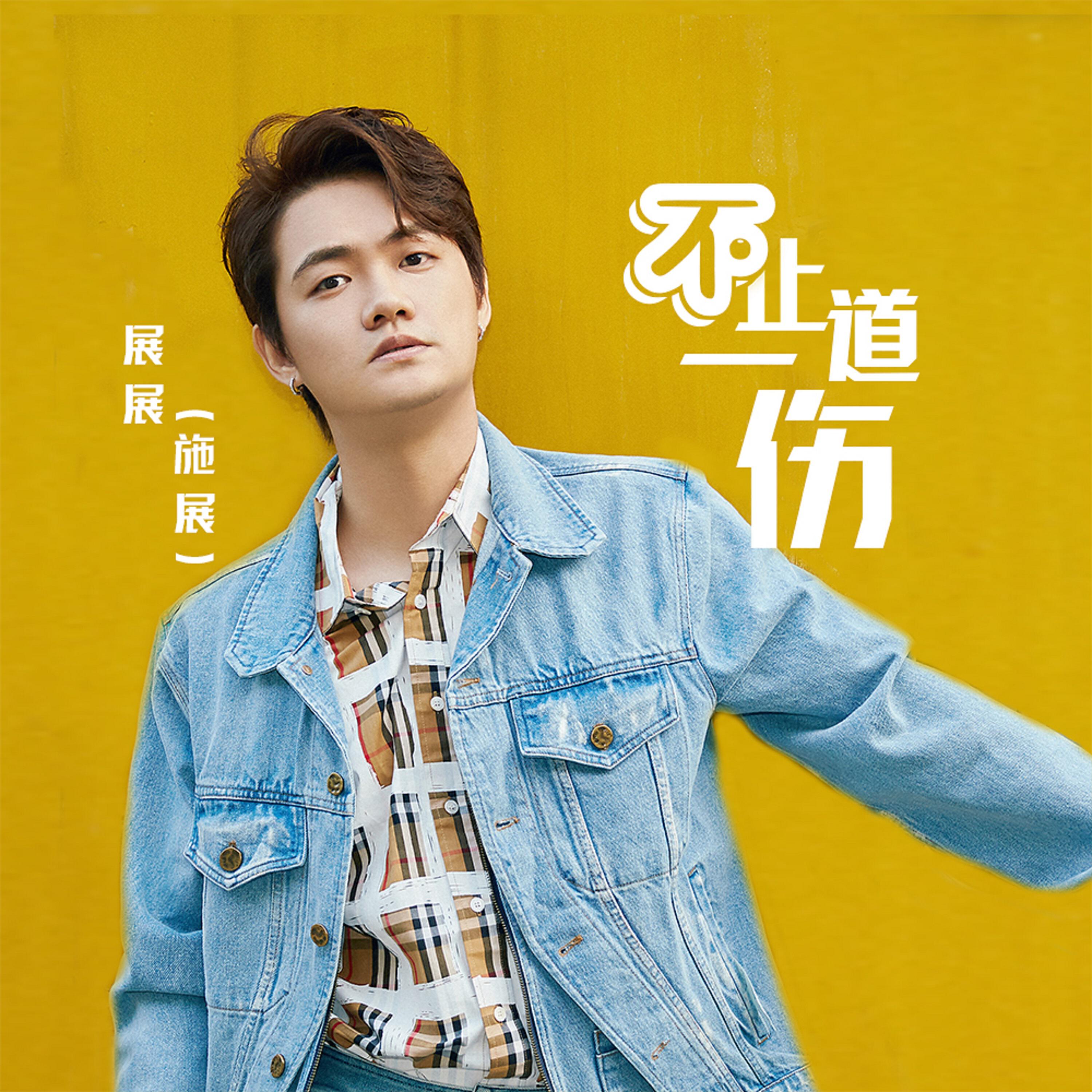 施展 - 不止一道伤