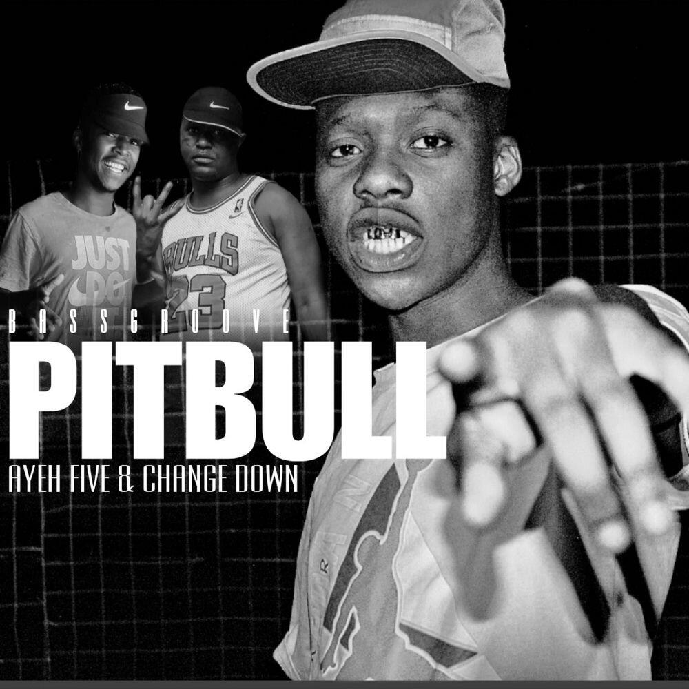 Релиз Pitbull II (Bassgroove)