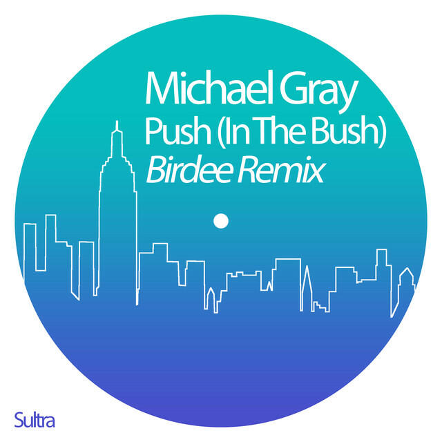 Релиз Push (In the Bush) [Birdee Remix]