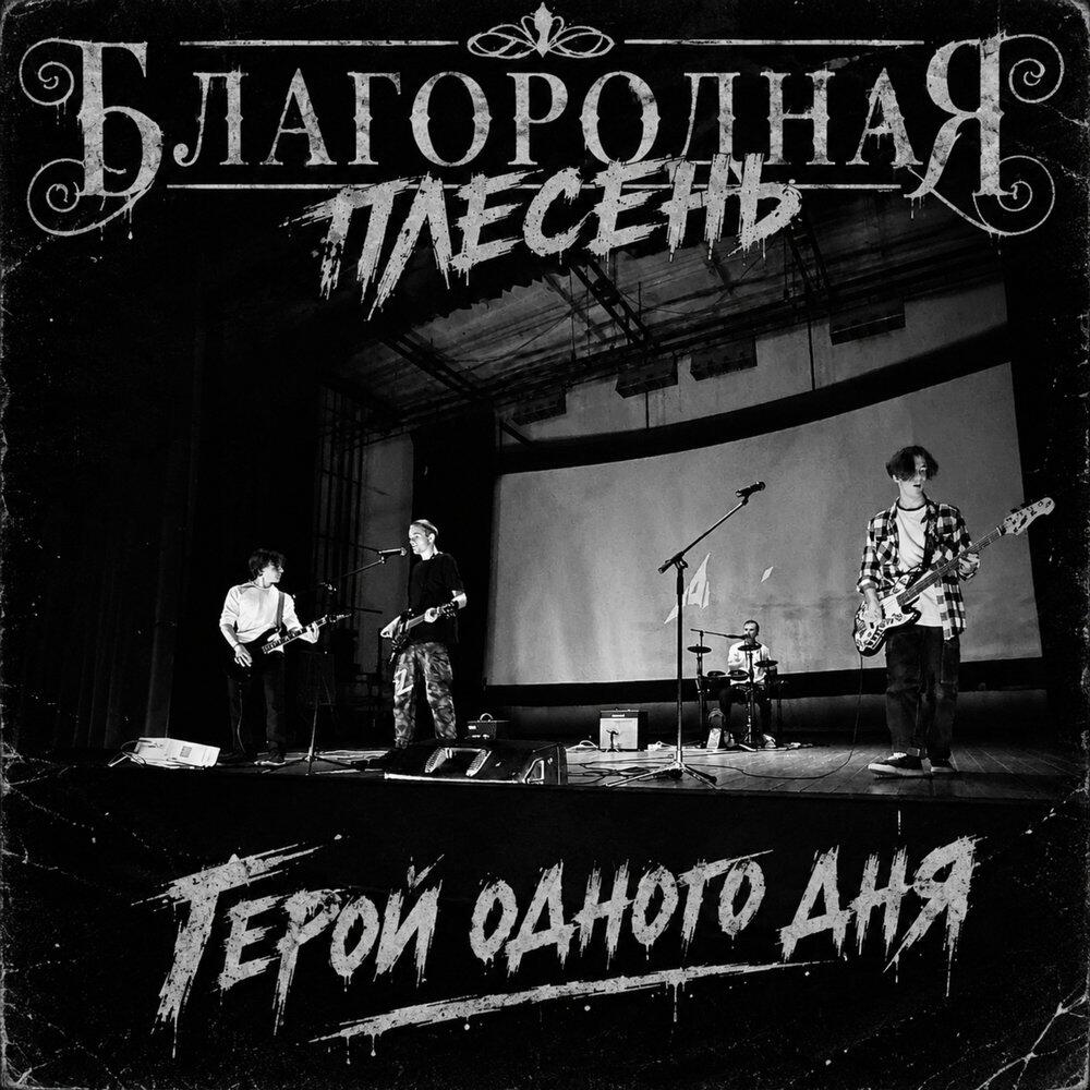 Благородная плесень