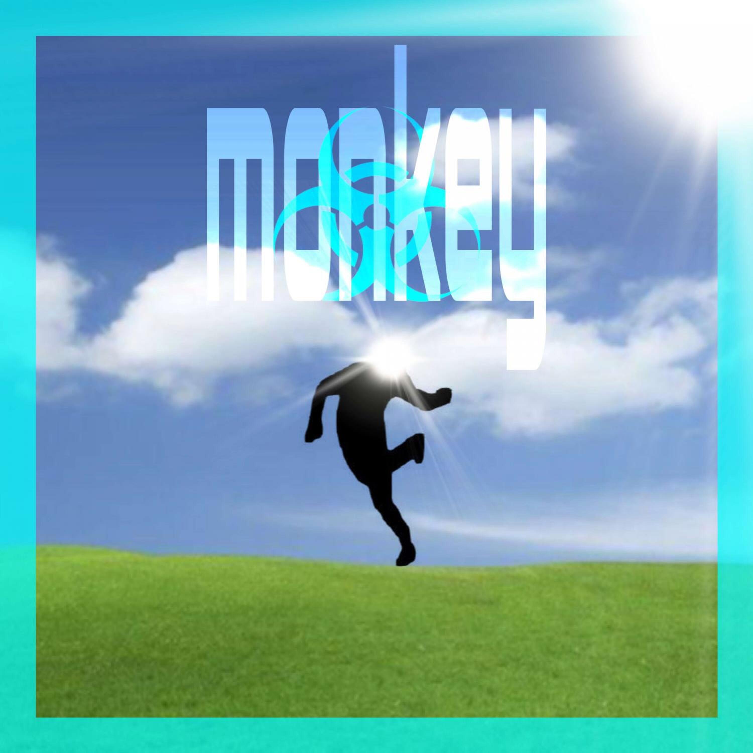 Релиз monkey