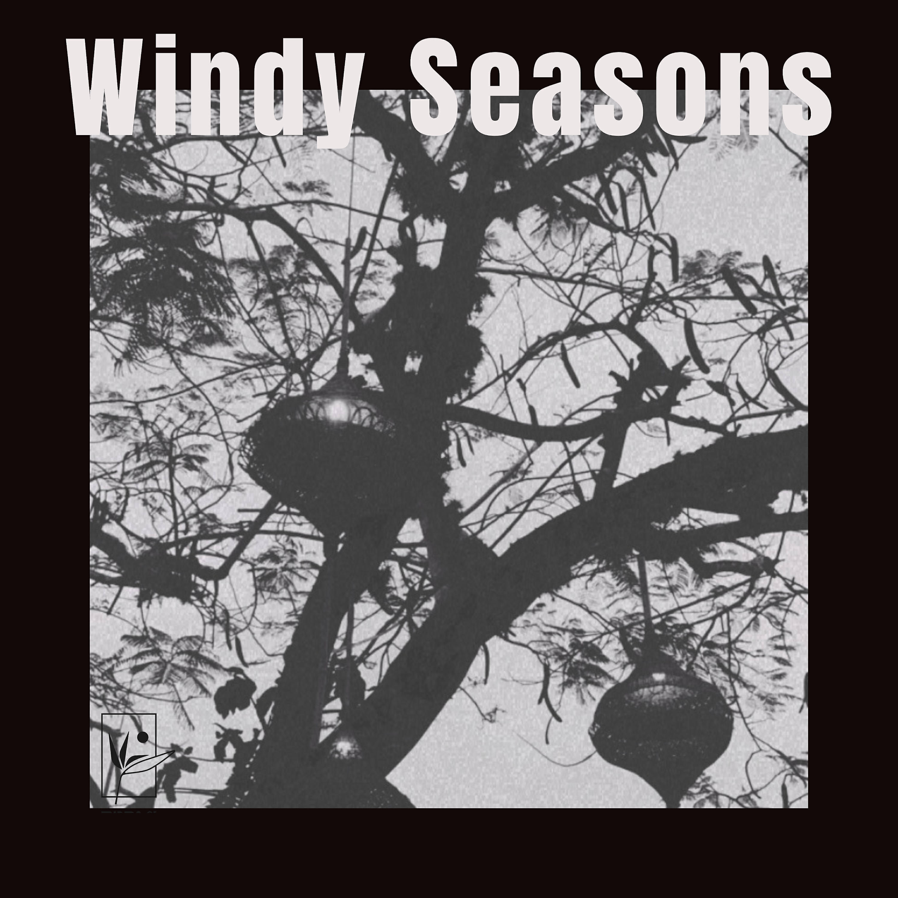 Релиз Windy Seasons