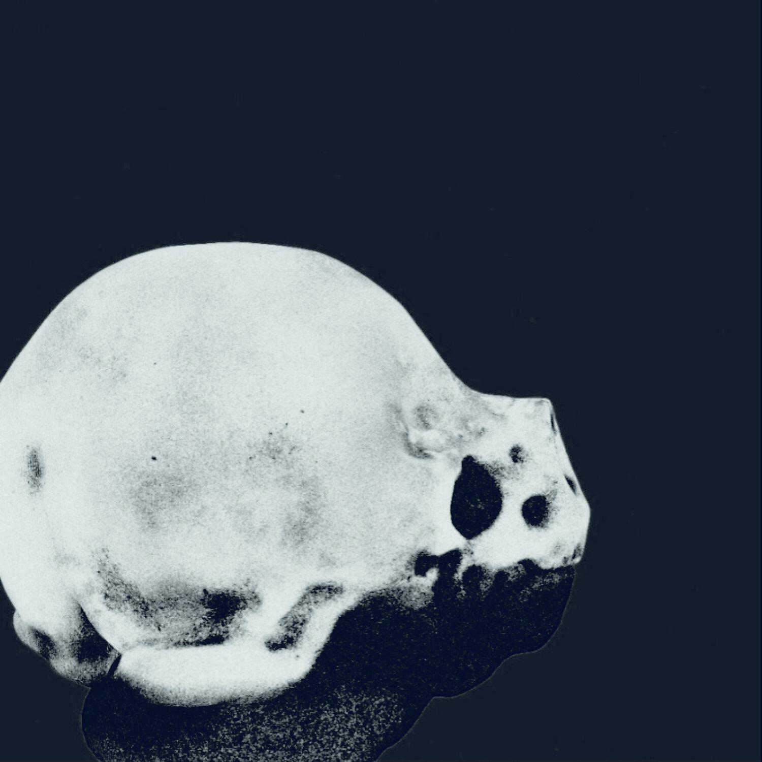 Релиз Trichophagia