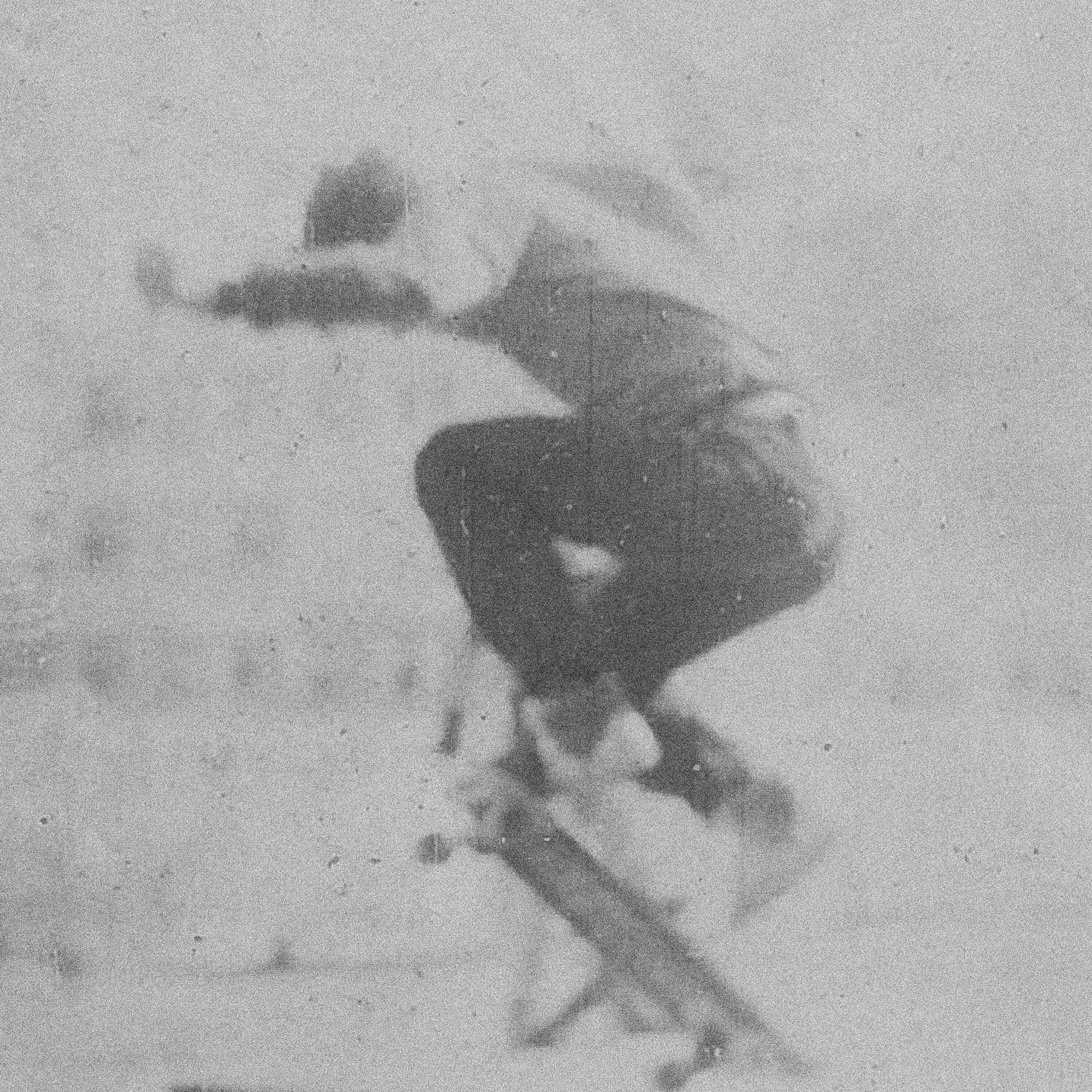 Релиз Skate