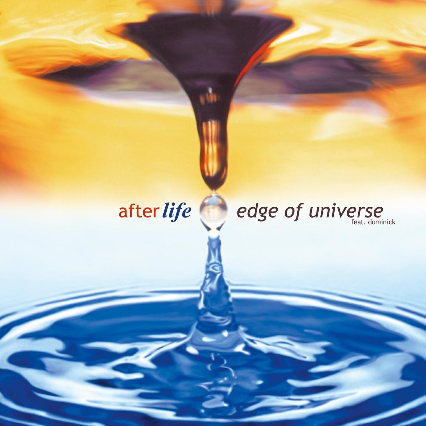 Релиз Afterlife