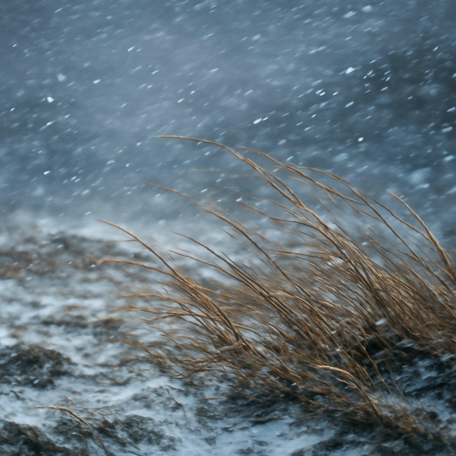 Релиз Soft Wind 5