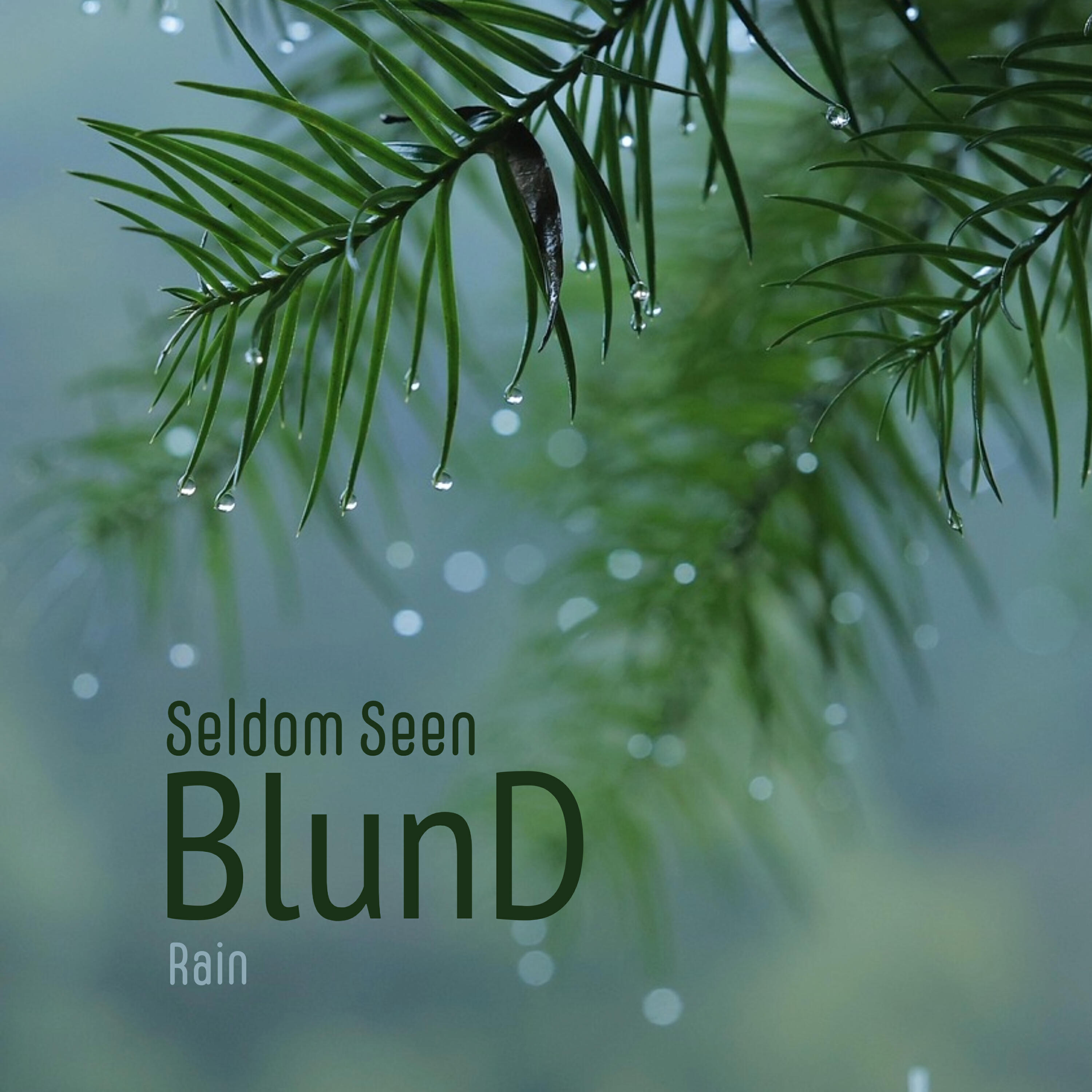 Релиз Seldom Seen