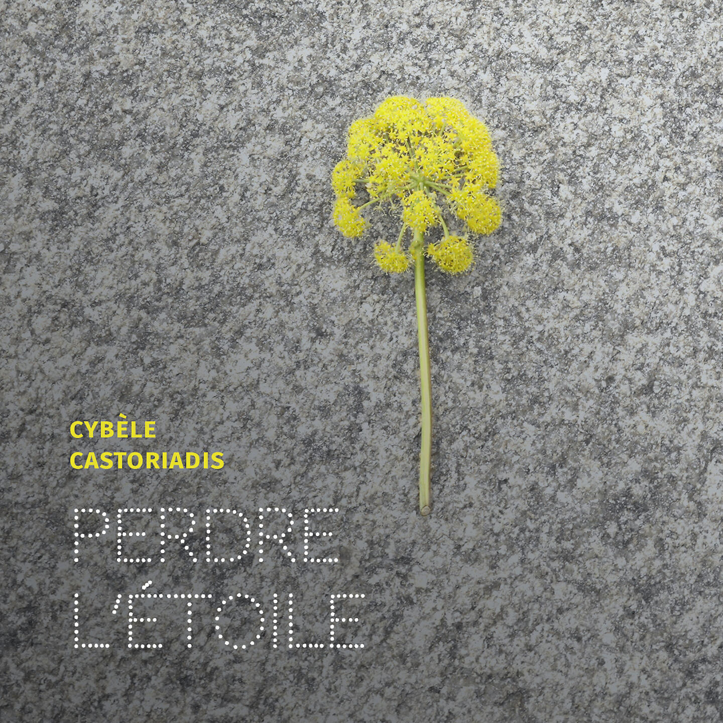 Релиз Perdre l'Étoile