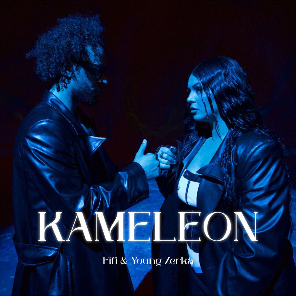 Релиз Kameleon