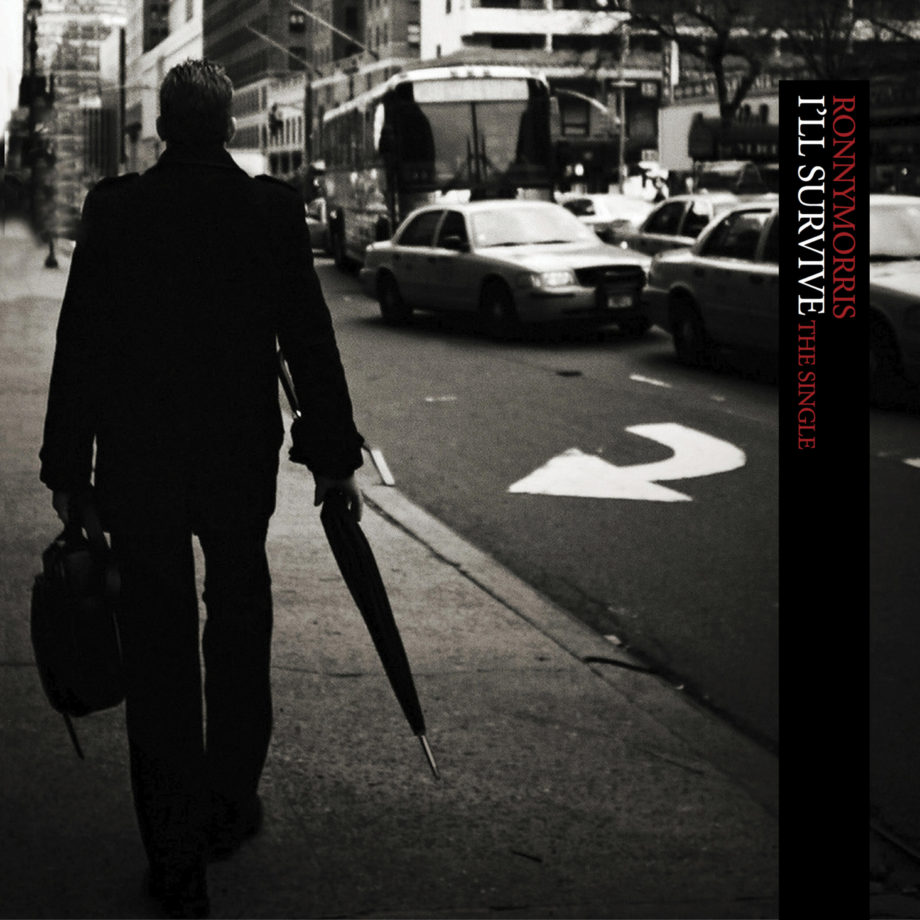 Постер альбома I'll Survive (The Single) - Remixes
