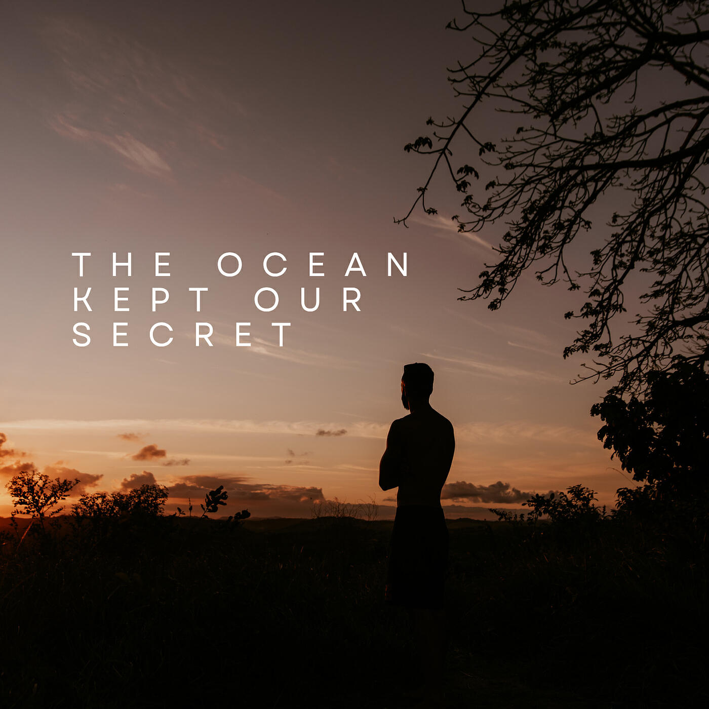 Релиз The Ocean Kept Our Secret