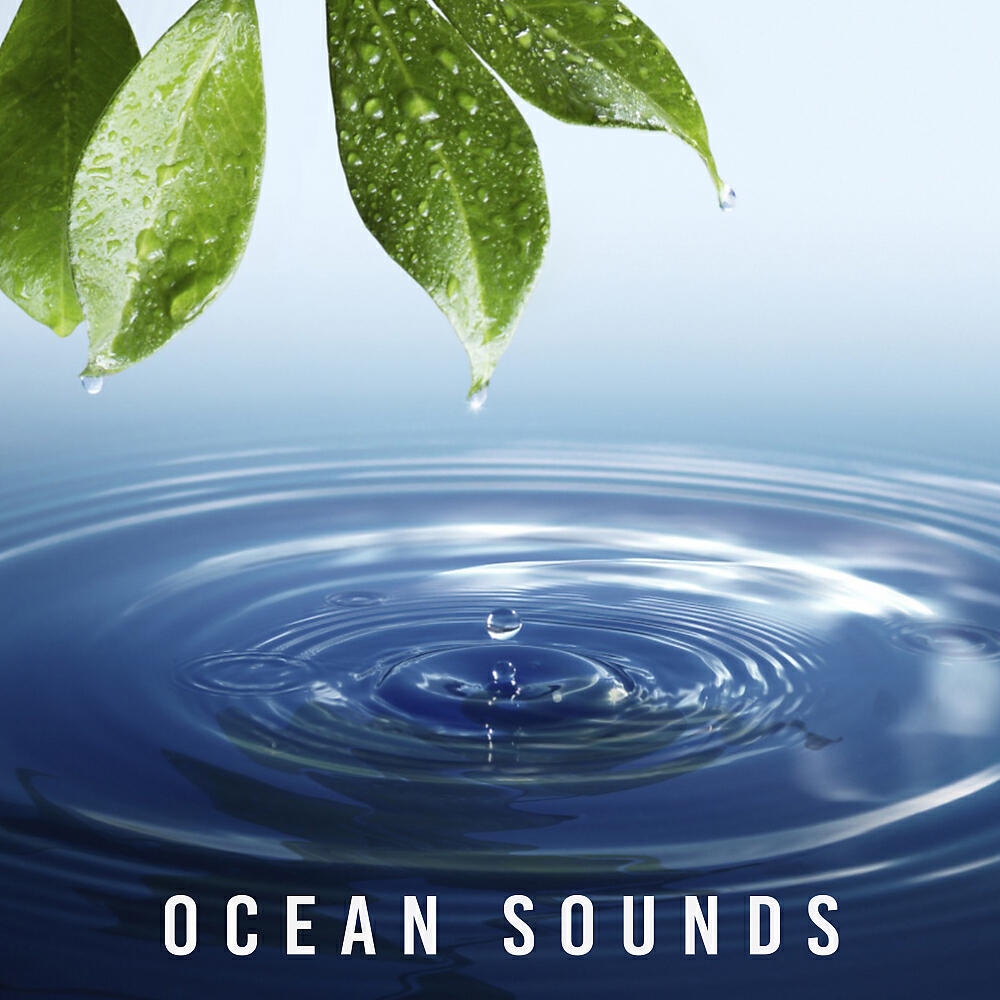 Релиз Ocean Sounds