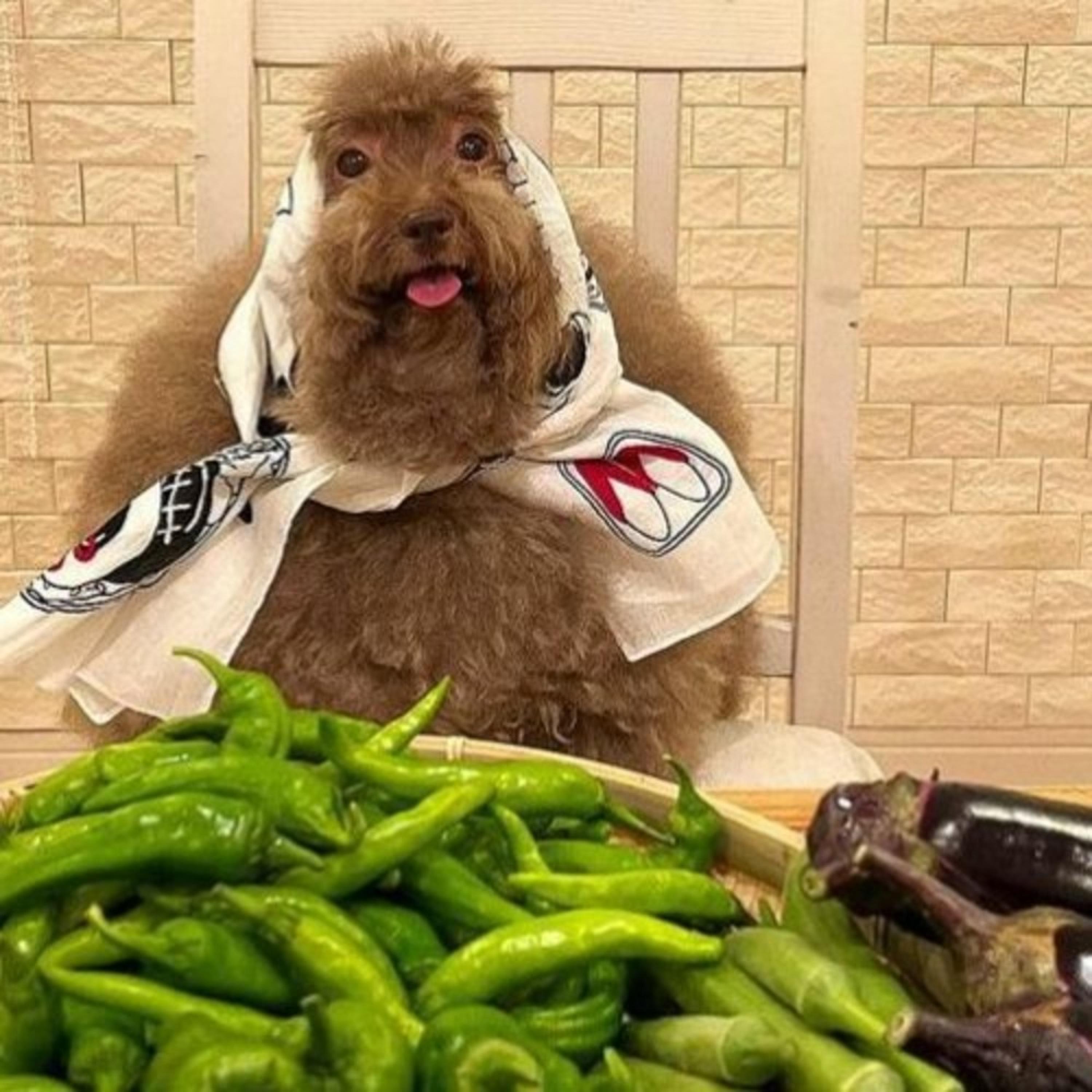 Релиз hi wassup