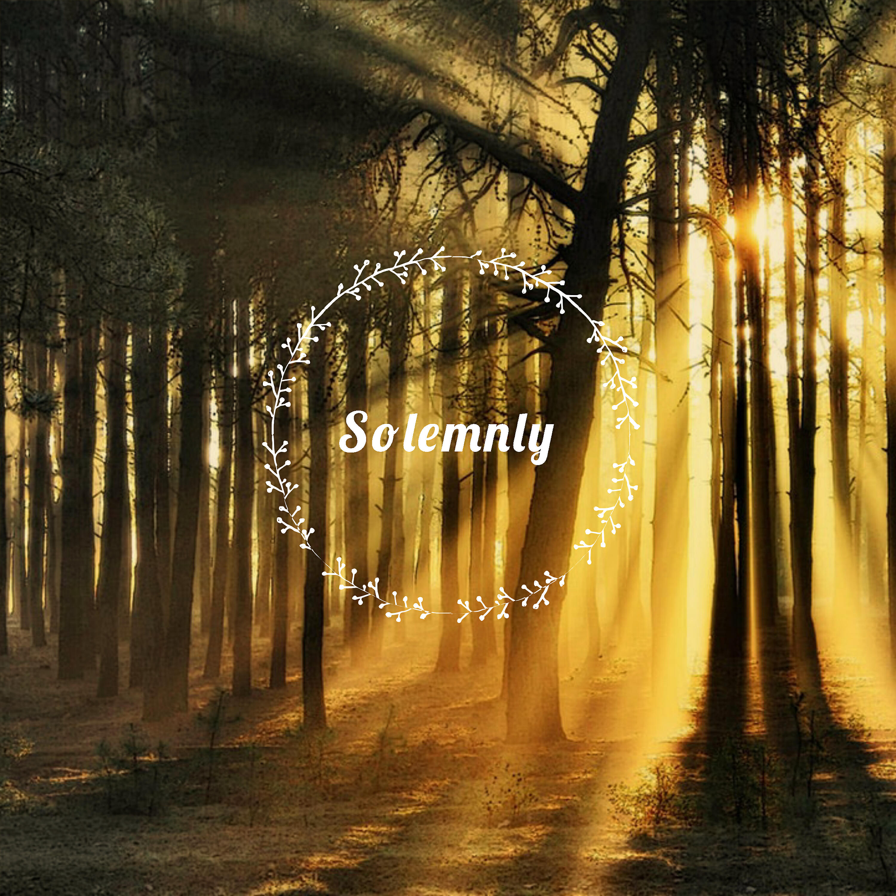 Релиз Solemnly