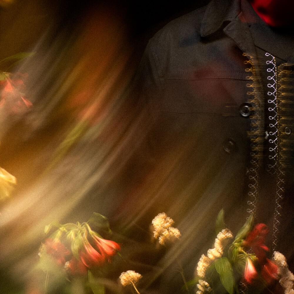 Релиз Midnight Roses