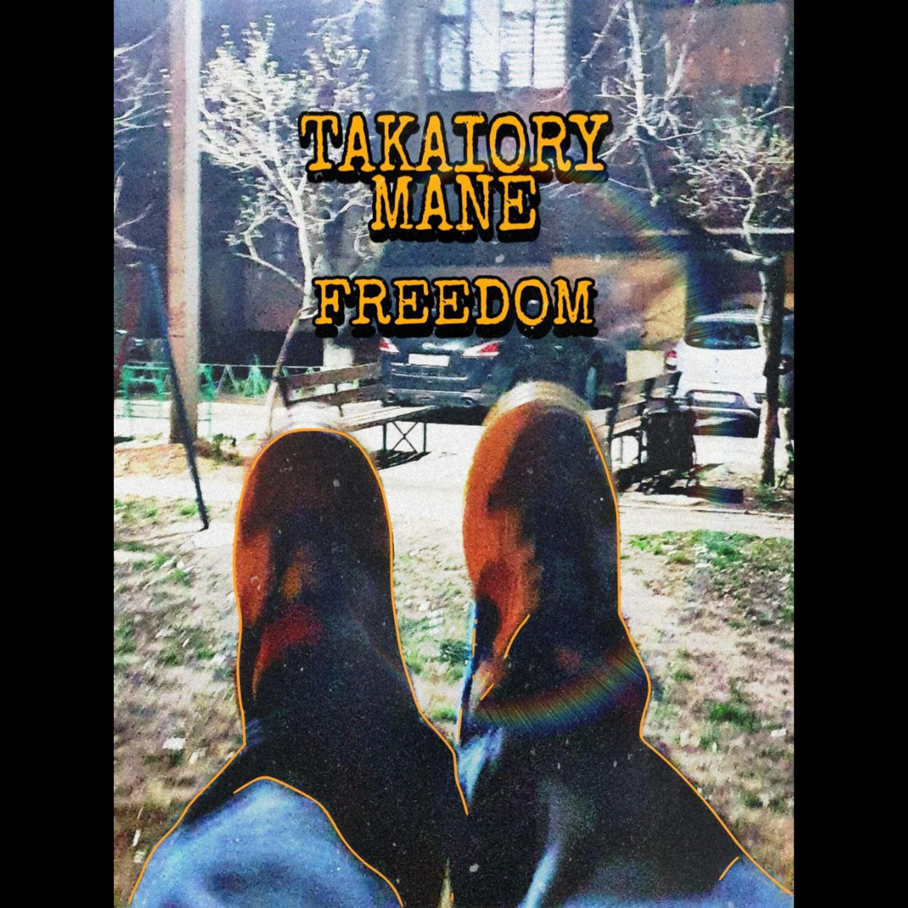 Релиз FREEDOM