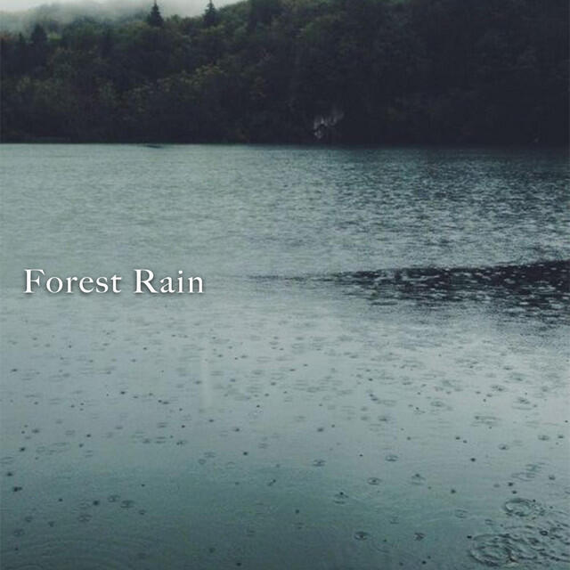 Релиз Forest Rain