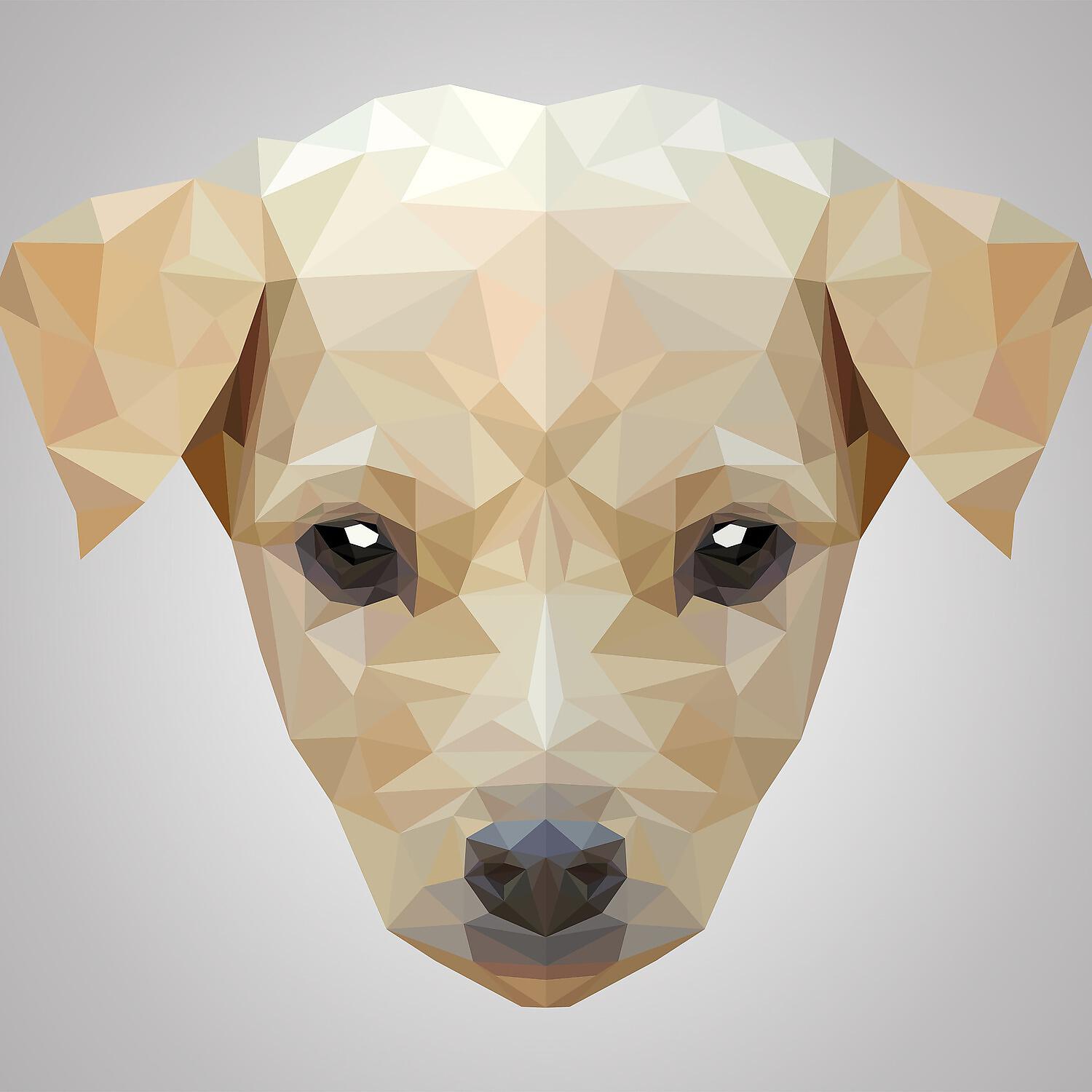 Релиз Calming for Dogs