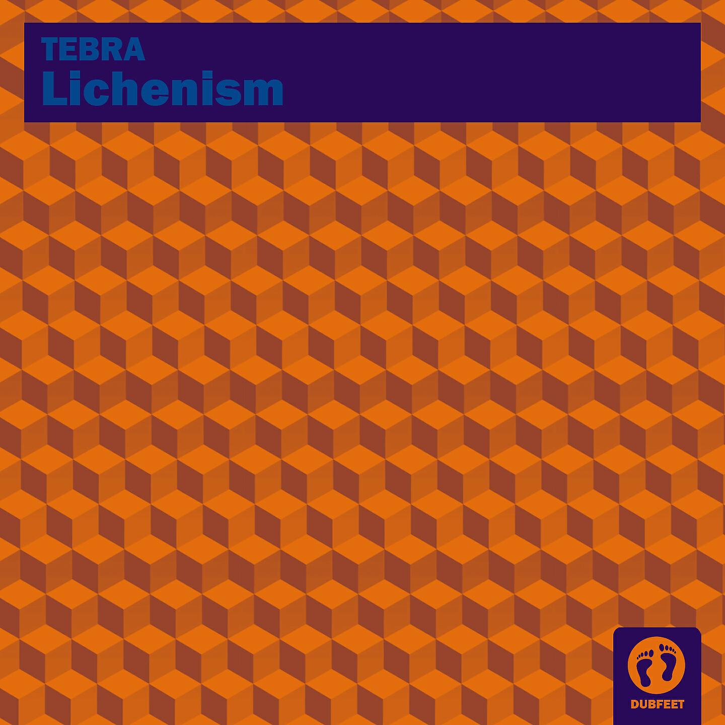 Релиз Lichenism
