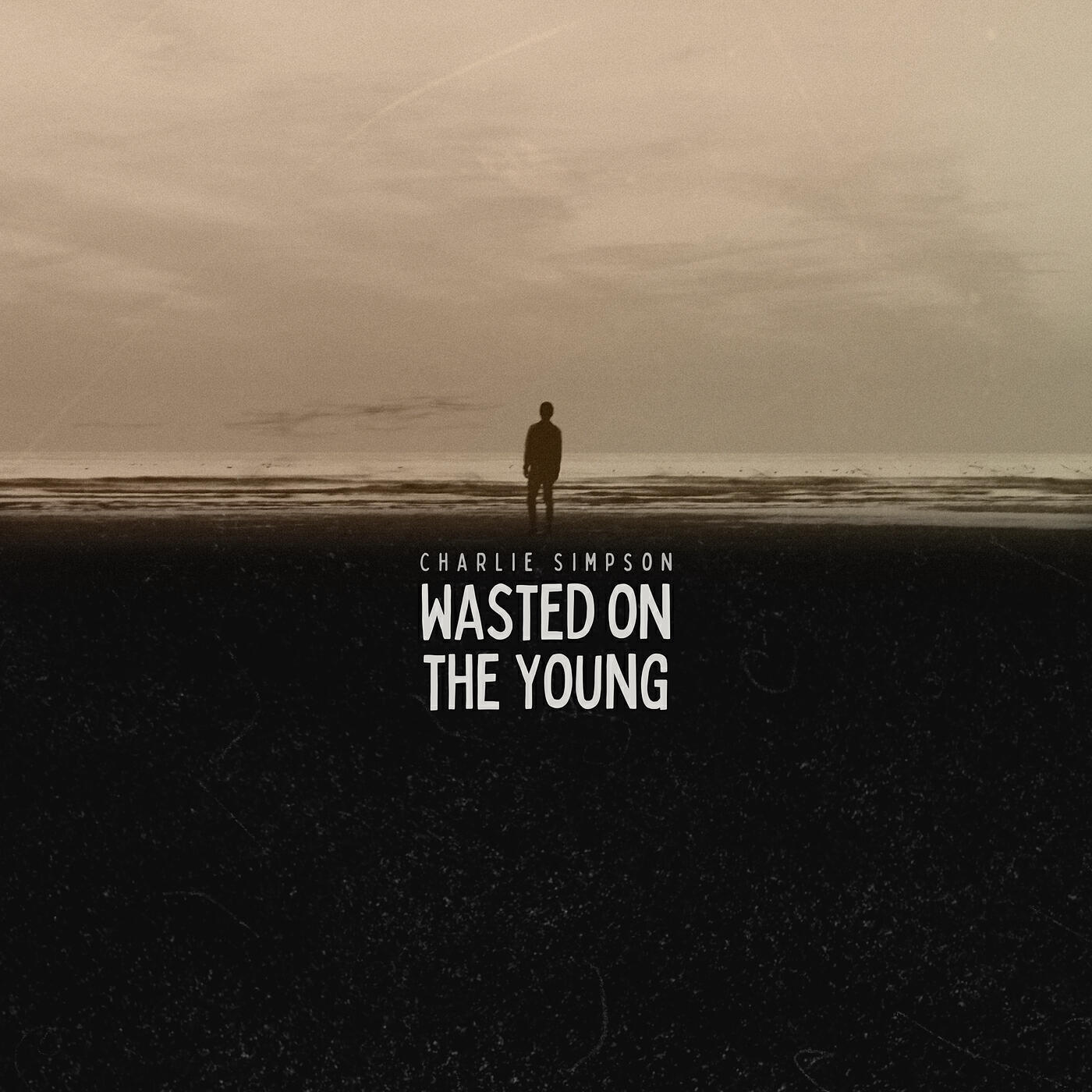 Релиз Wasted on the Young