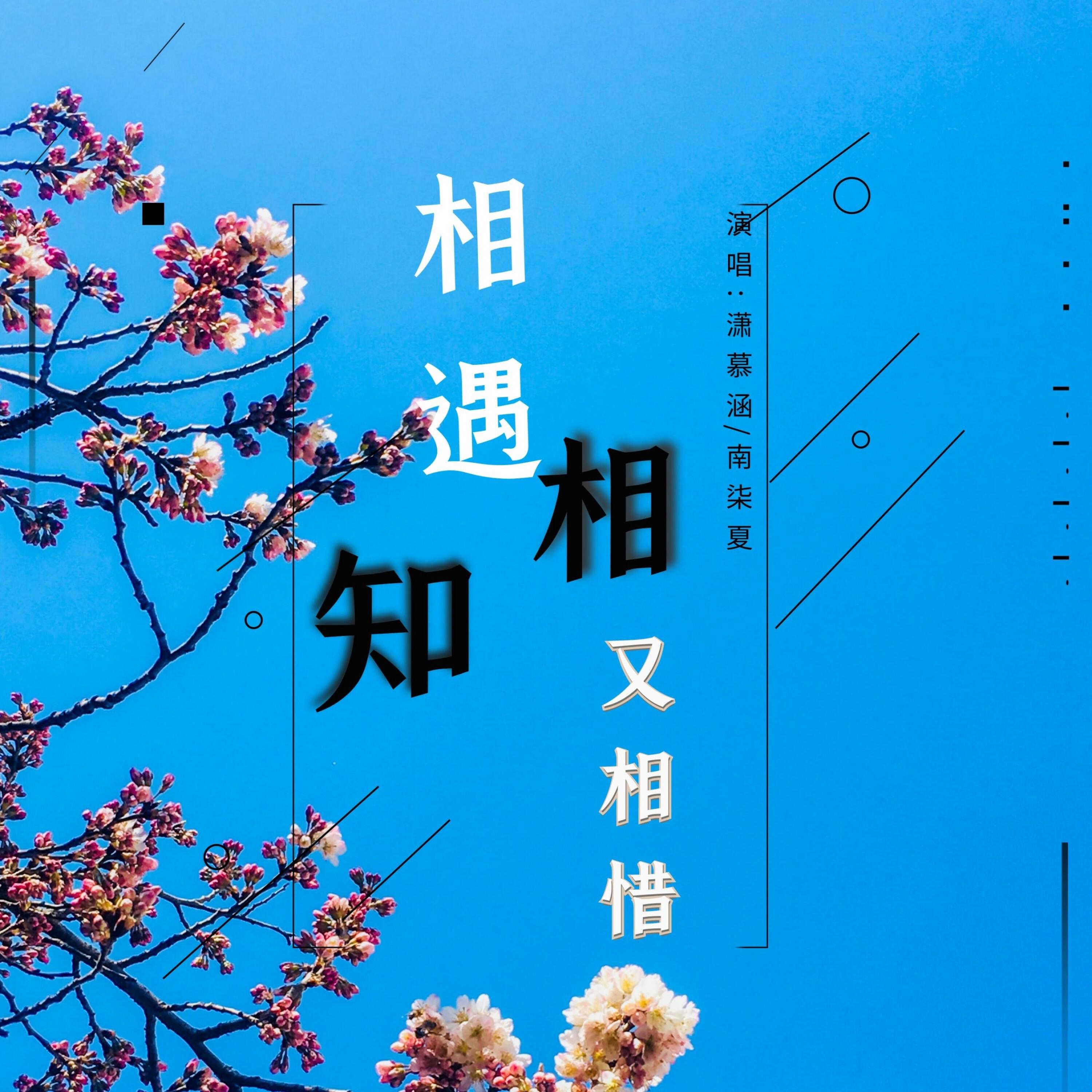 Релиз 相遇相知又相惜