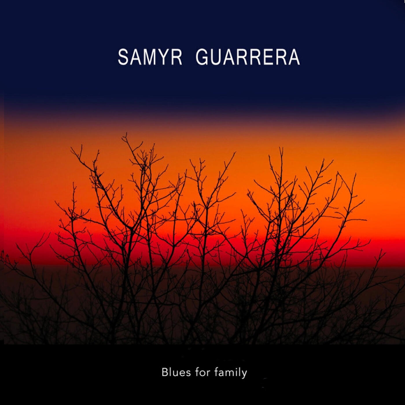 Релиз Blues for Family