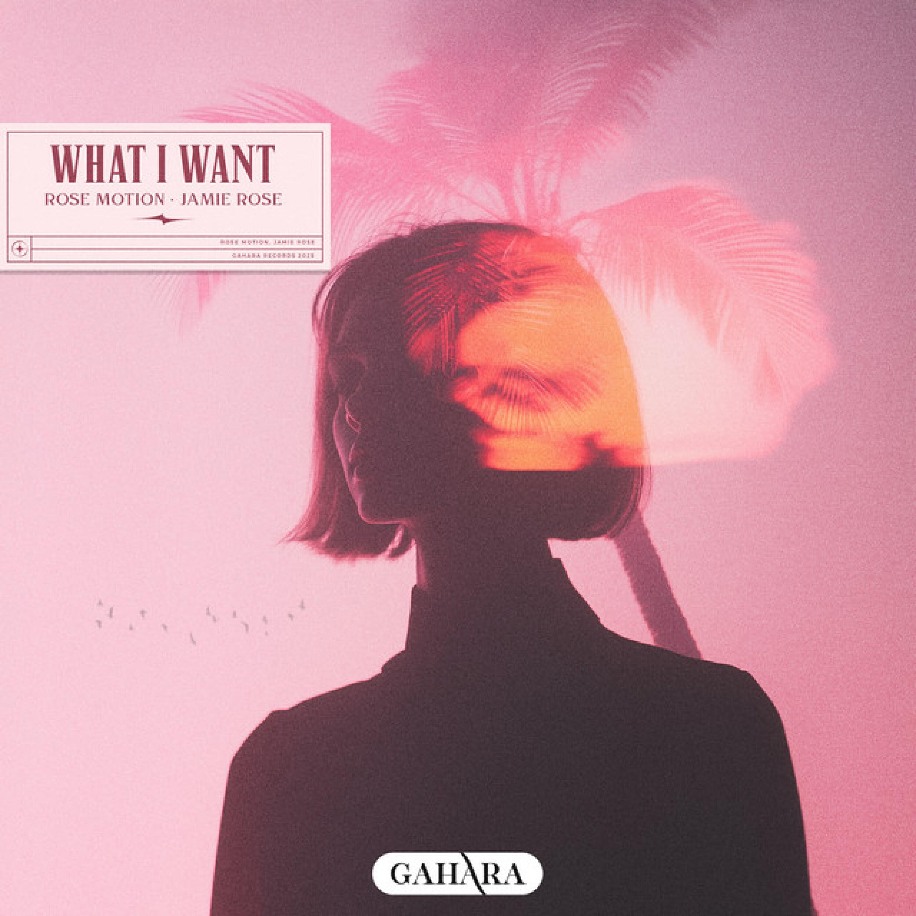 Релиз What I Want