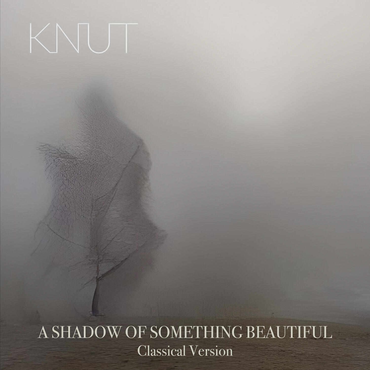 Релиз A Shadow of Something Beautiful (Classical Version)
