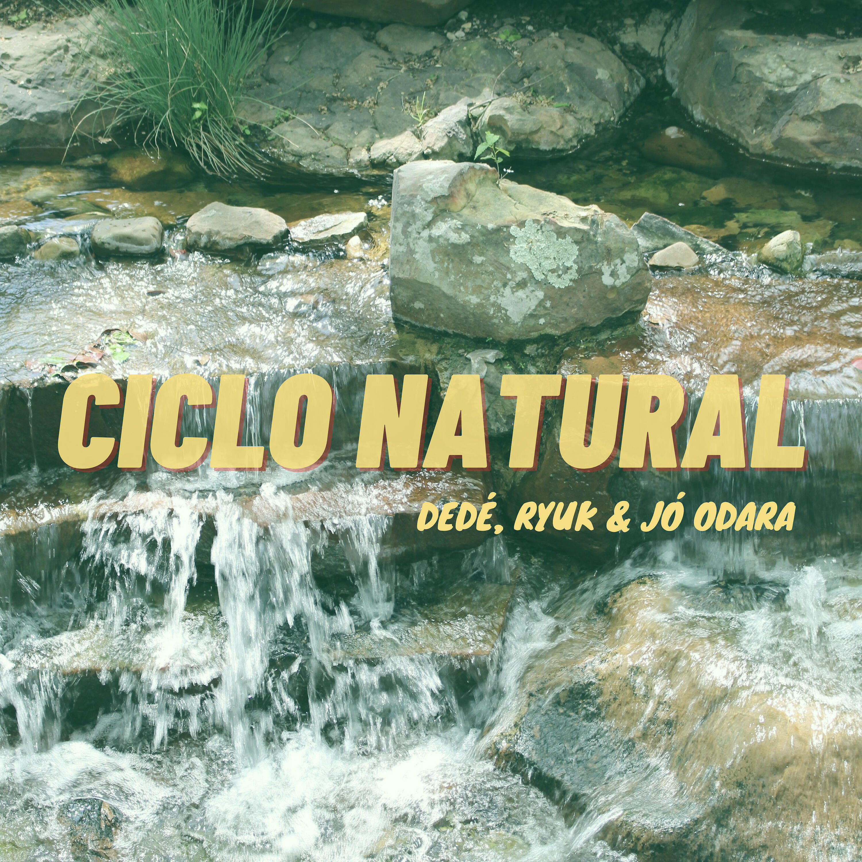 Релиз Ciclo Natural