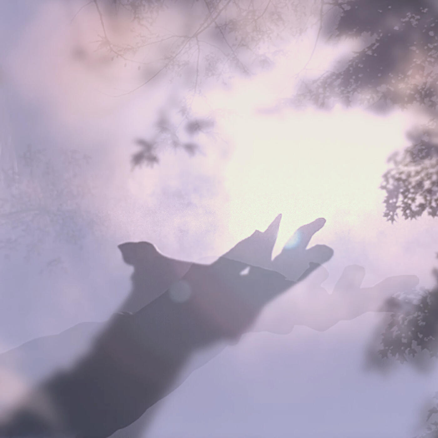Релиз Take Care