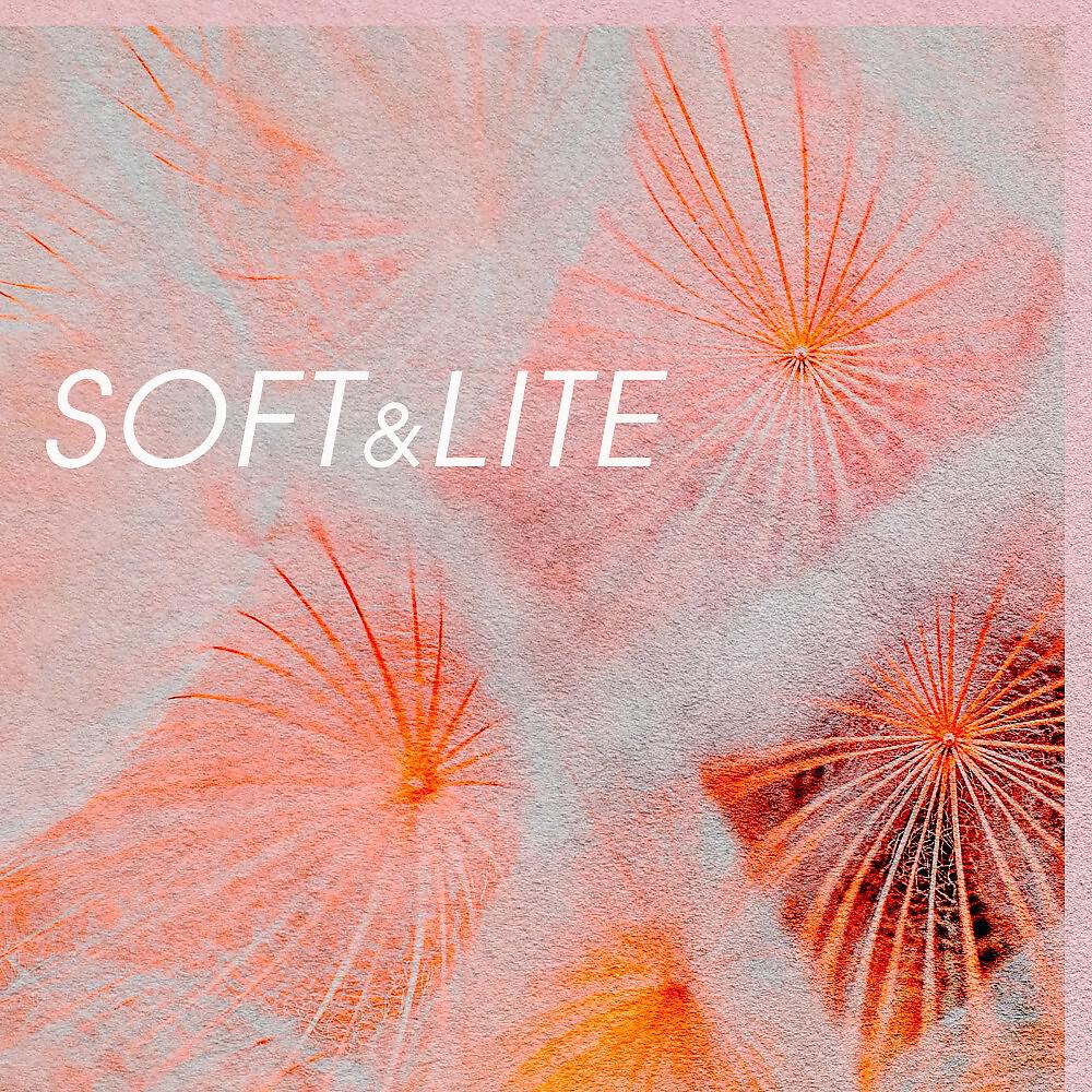 Релиз Soft and Lite