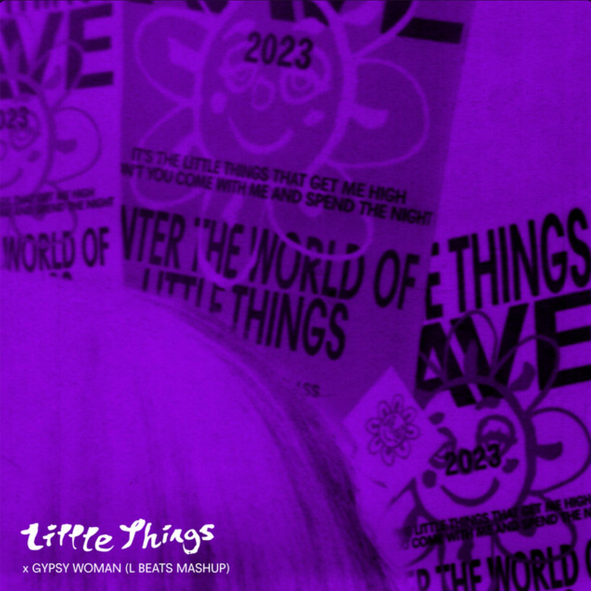 Релиз Little Things x Gypsy Woman (L BEATS MASHUP)