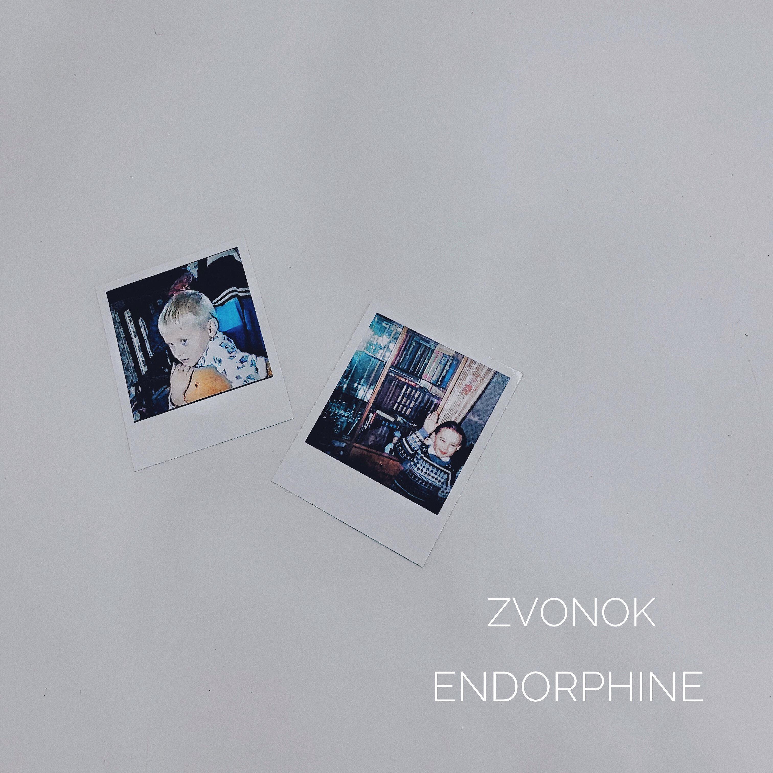 Релиз Endorphine