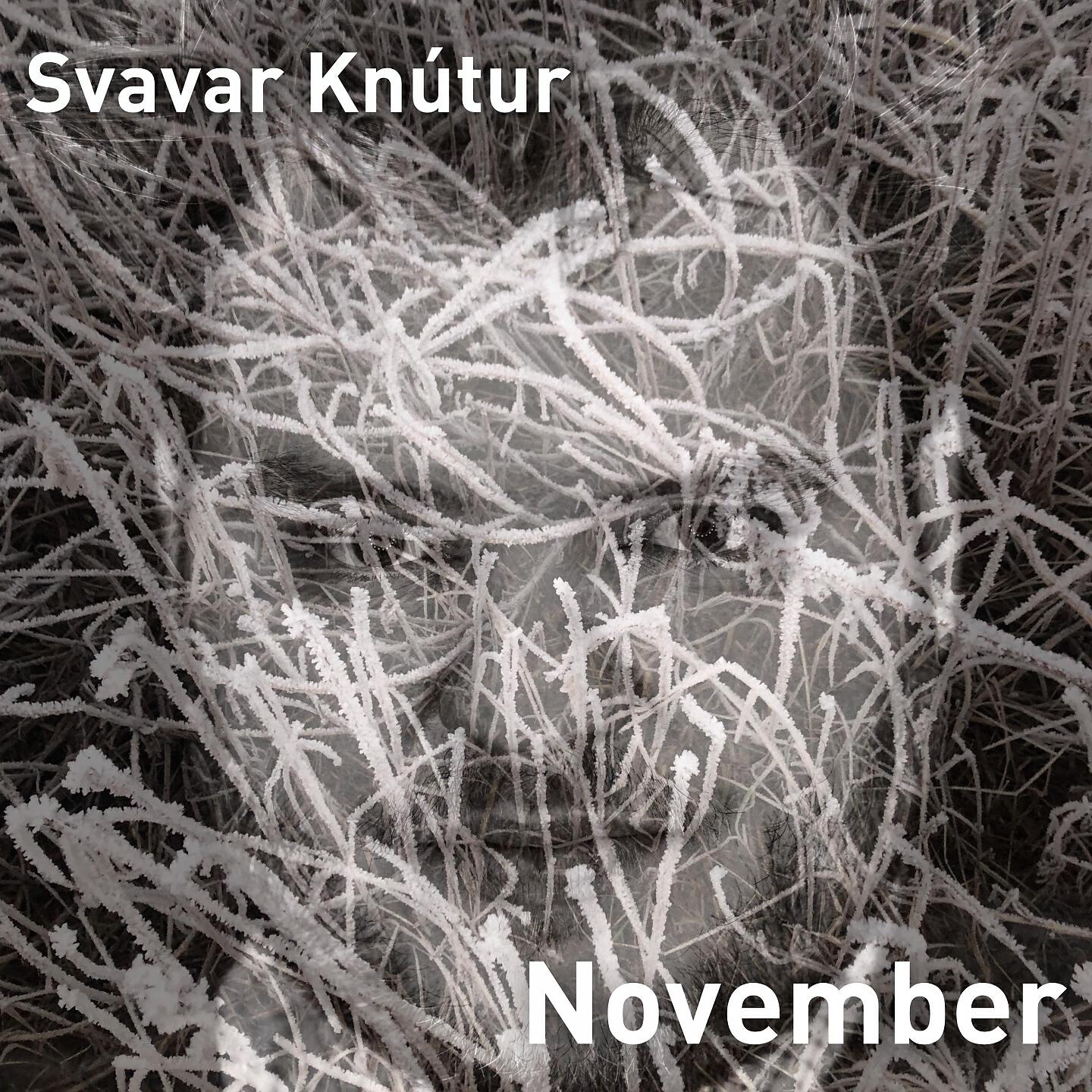 Релиз November