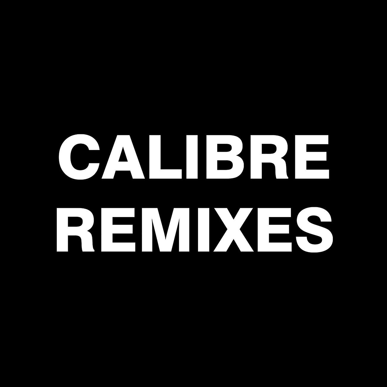 Релиз Calibre Remixes