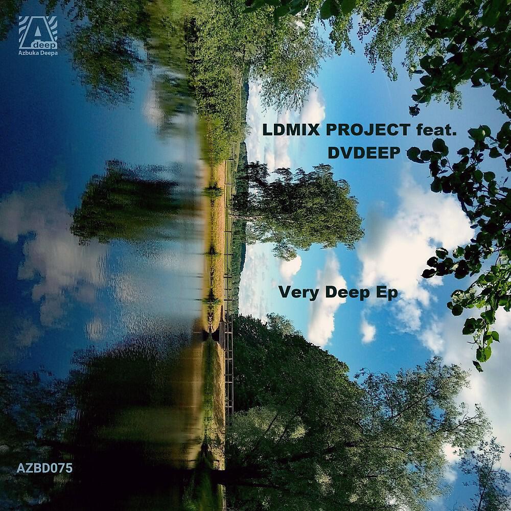 LDMIX Project