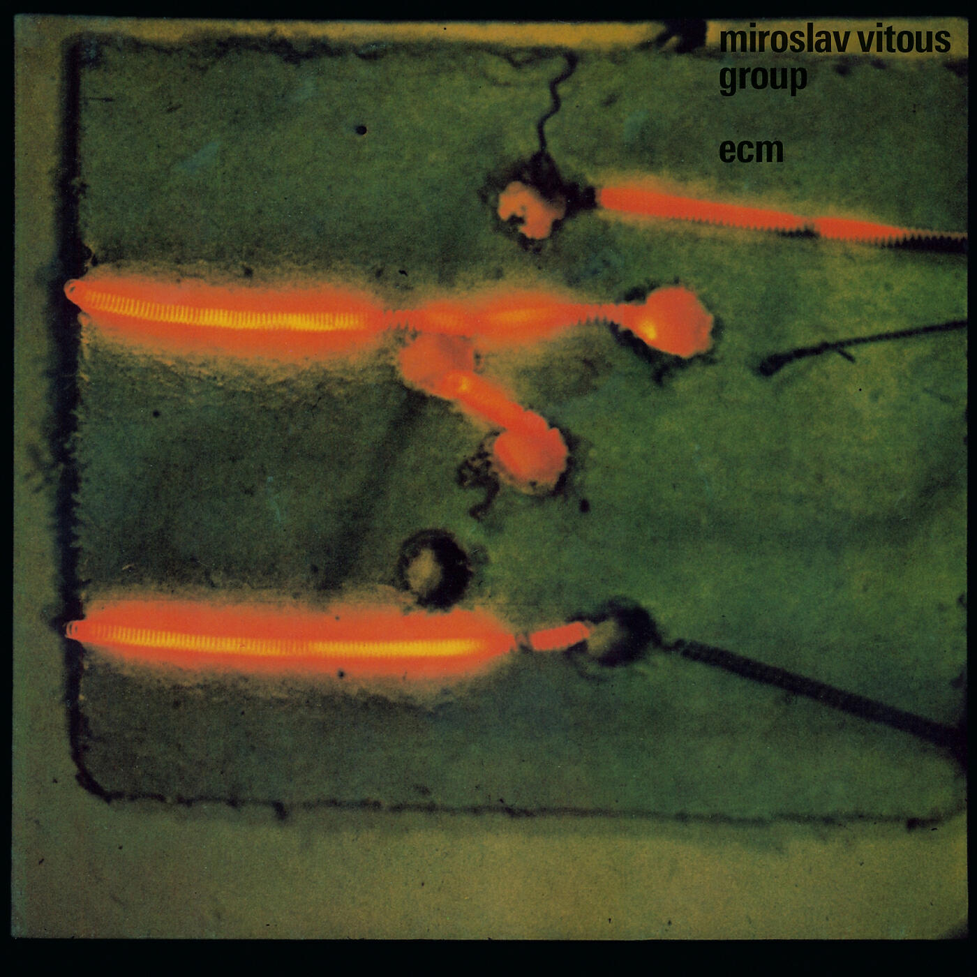 Релиз Miroslav Vitous Group